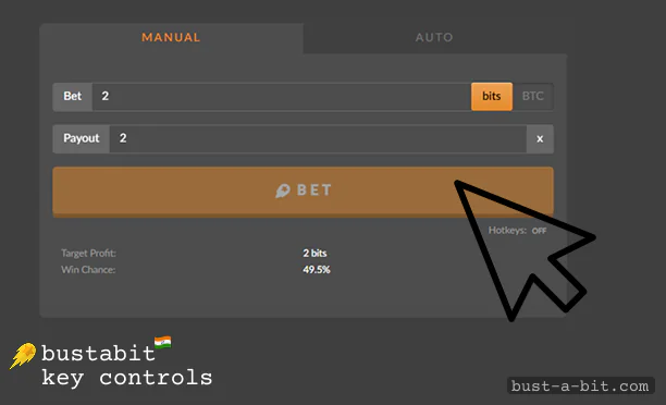 Key Controls of Bustabit Game India