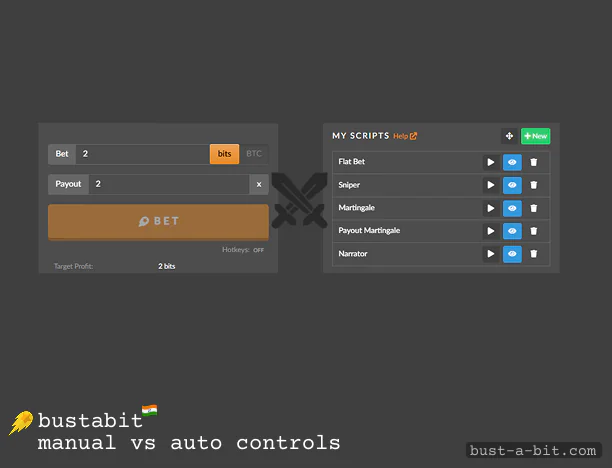 Pros and Cons of Using Manual and Auto Controls at Bustabit India