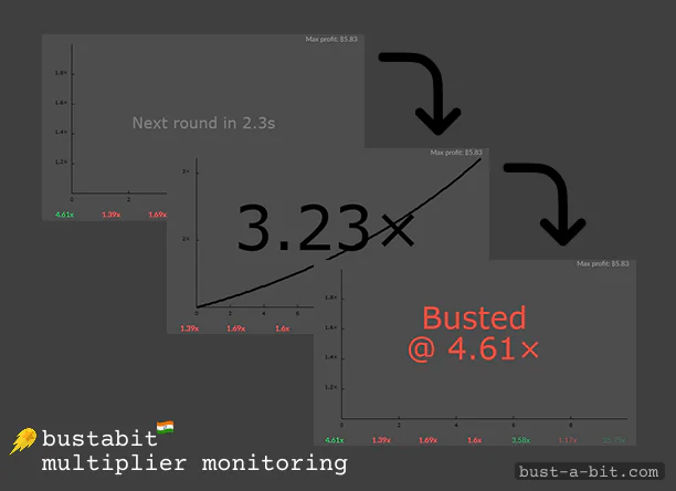 How to monitor multipliers at Bustabet India