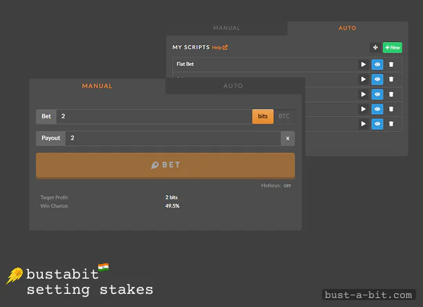 How to Set stakes at Bustabit India