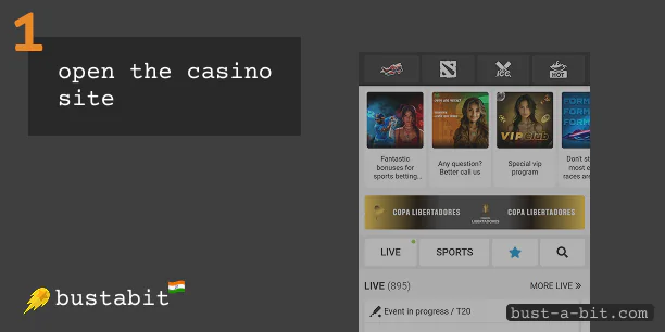 Open selected casino to start deposit money to bustabit