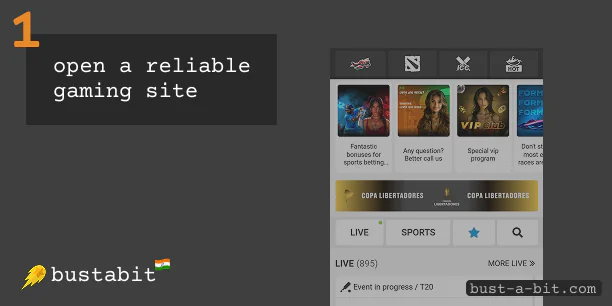 Open selected casino website to start playing Bustabit